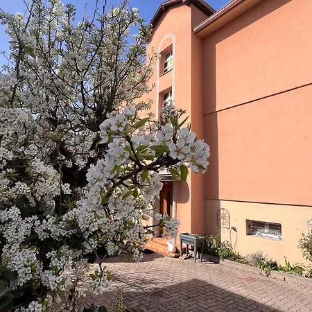 Apartament T3 + Veranda A